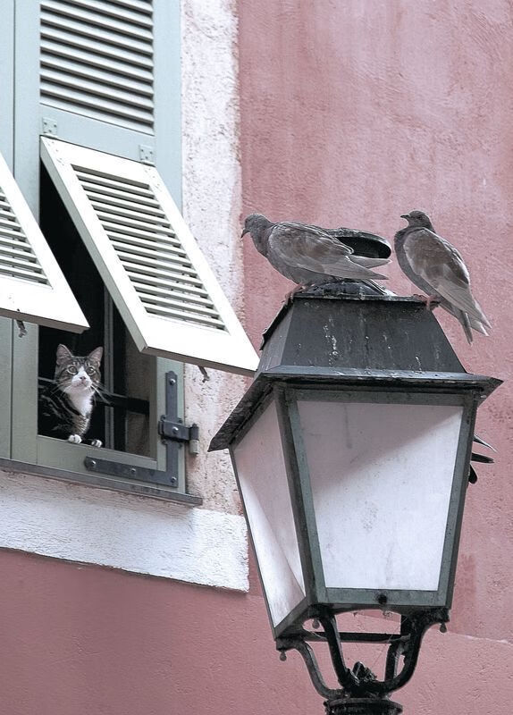 爱游戏大厅-欧冠最新动态：八强对阵一览，谁能晋级？，欧冠8强对阵揭晓2020  第1张