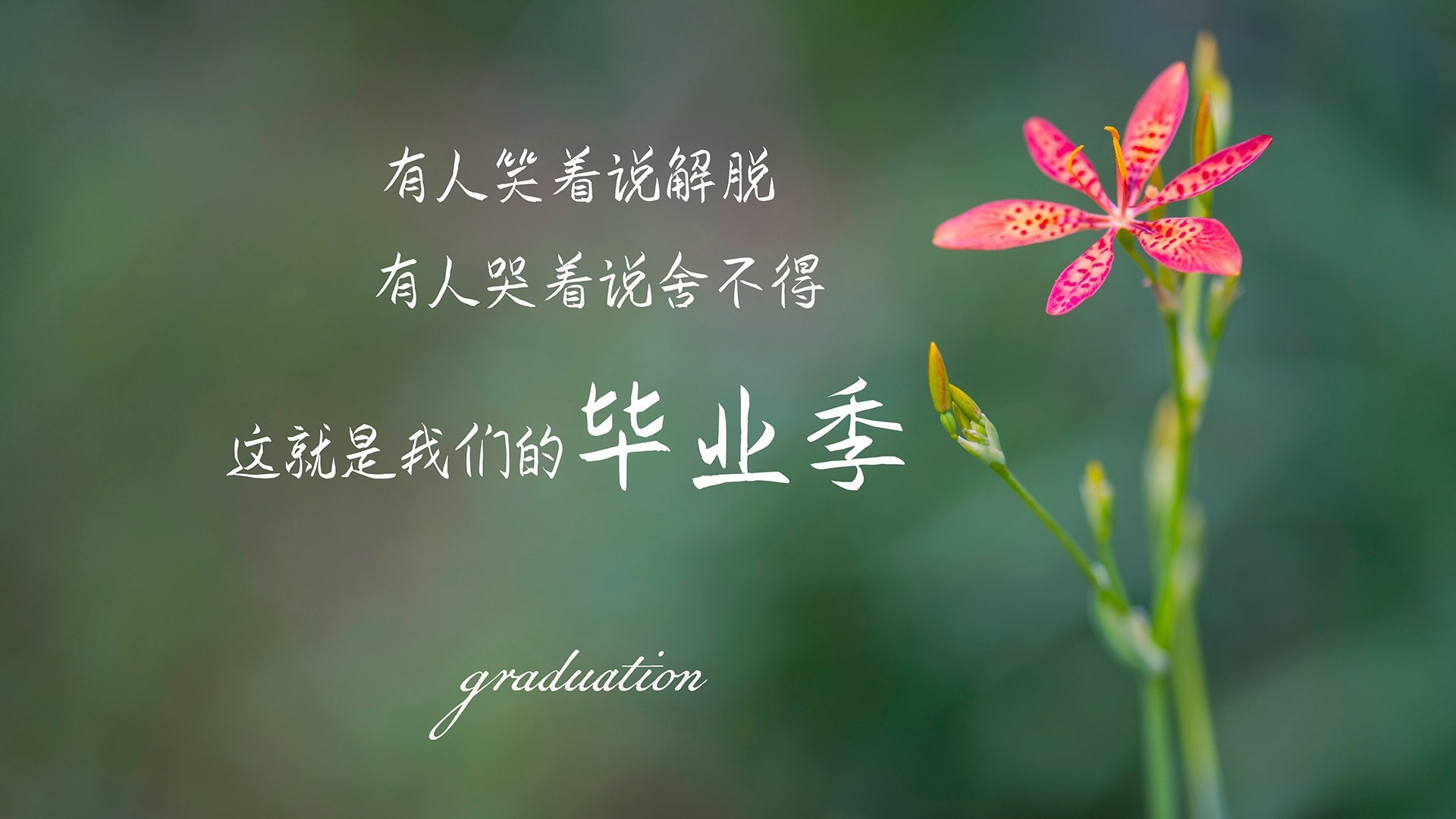 爱游戏电竞同步-法甲球队基于语义匹配的战术对接模型辅助集体战术演练，法乙球队敌对关系  第1张