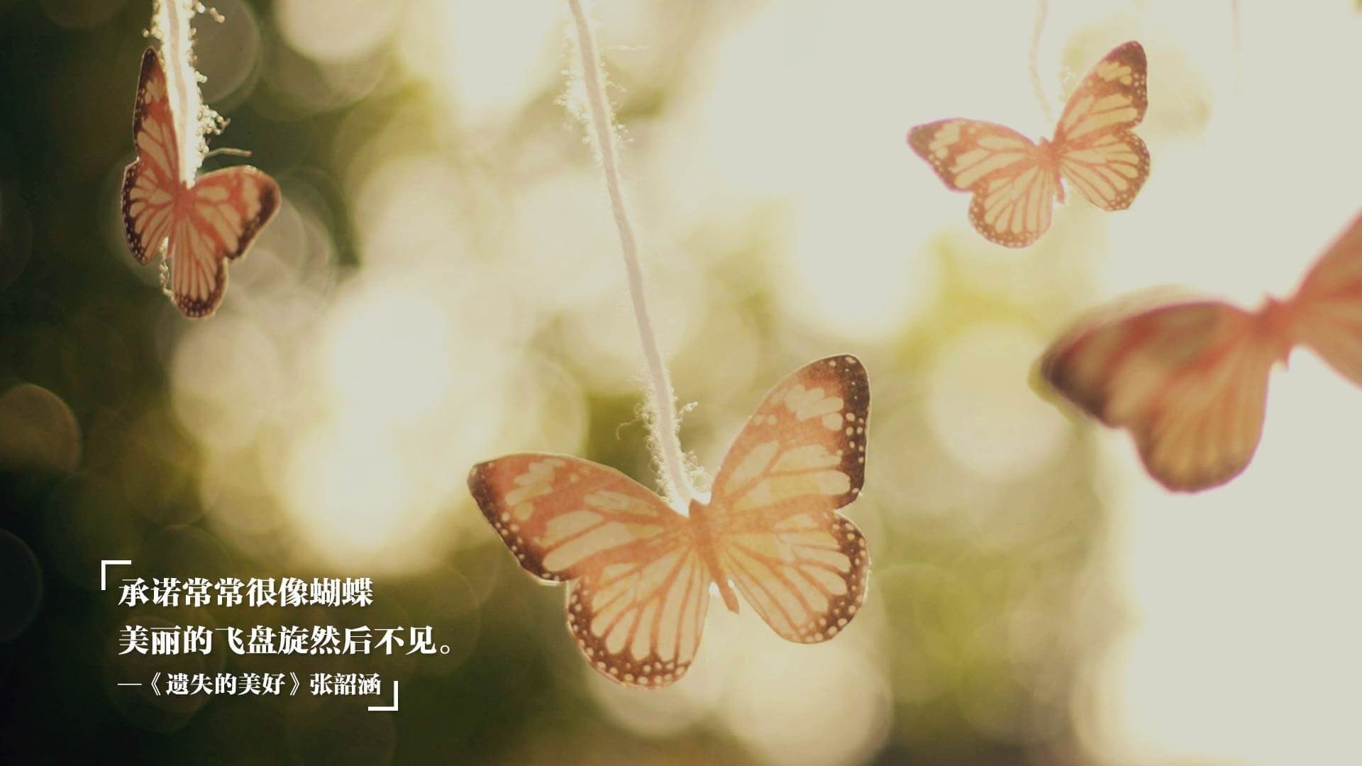 爱游戏在线娱乐官网-亚洲杯中国女足晋级 球迷支持声浪不断，女足亚洲杯中国队成绩