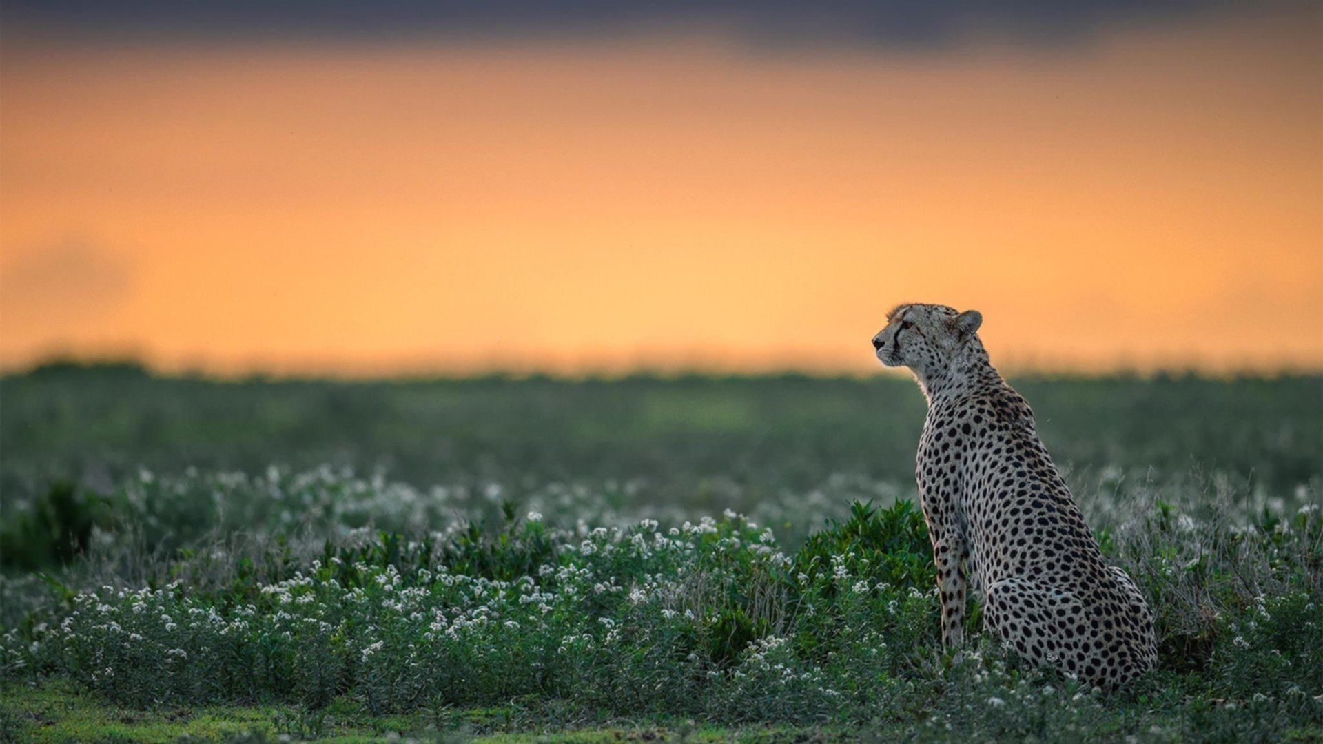 ayx爱游戏官网-体育明星参与体育公益创新项目推广，体育明星公益活动