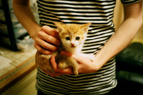 爱游戏体育官网-国际热身赛中国队夺冠 技术打法备受称赞，国际热身赛赛程