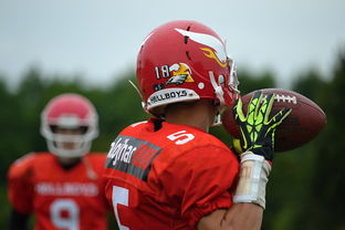 爱游戏多端接入-青少年足球兴趣不足,青少年足球训练建议